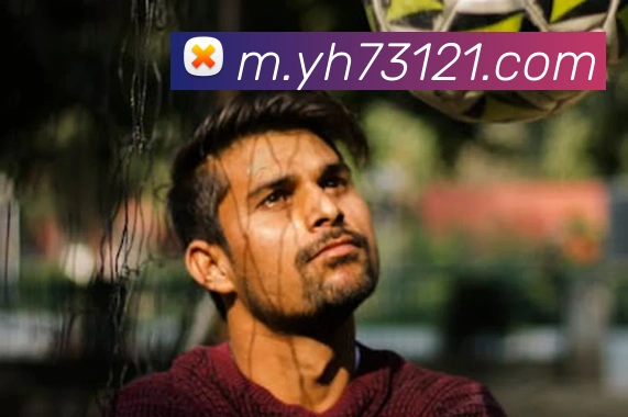 奖项证书
